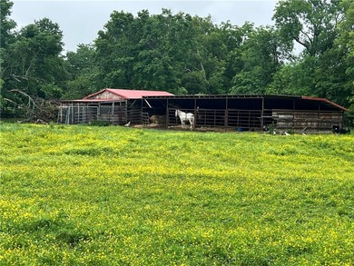 Incredible 224-acre estate w/over half a mile (~3500ft) of White - photo 46
