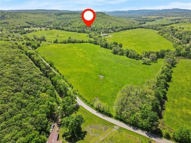 Incredible 224-acre estate w/over half a mile (~3500ft) of White - photo 49