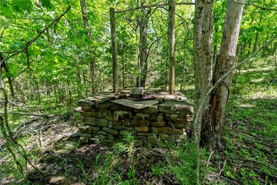 Incredible 224-acre estate w/over half a mile (~3500ft) of White - photo 50