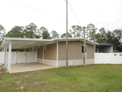 (private lake, pond, creek) Home For Sale in Ocklawaha Florida