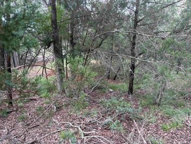 Wonderful golf course lot with 80 feet of frontage and a - photo 14