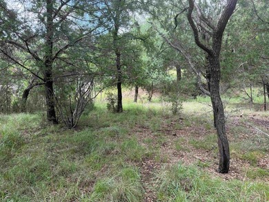 Wonderful golf course lot with 80 feet of frontage and a - photo 17