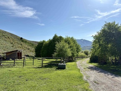 Sun Valley Legacy Estate & Development Masterpiece. Discover the - photo 8