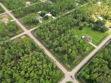 Lehigh Acres Area Lot For Sale in Lehigh Acres Florida