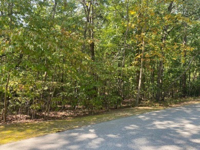 Lake Lot Sale Pending in Salem, South Carolina