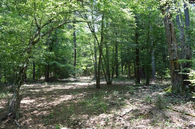 Wooded lakefront lot on Cedar Creek lake just south of Great - photo 11