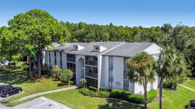 Lake Condo For Sale in Tarpon Springs, Florida