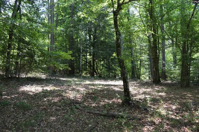Wooded lakefront lot on Cedar Creek lake just south of Great - photo 12