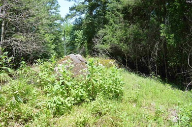 Wooded lakefront lot on Cedar Creek lake just south of Great - photo 13