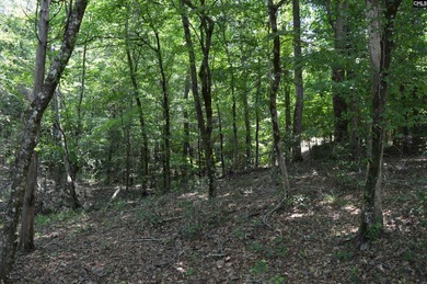 Wooded lakefront lot on Cedar Creek lake just south of Great - photo 15