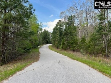 Wooded lakefront lot on Cedar Creek lake just south of Great - photo 16