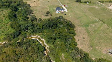 This breathtaking land features a pond & creek running through - photo 36
