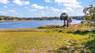 Lake Lot For Sale in Fruitland Park, Florida