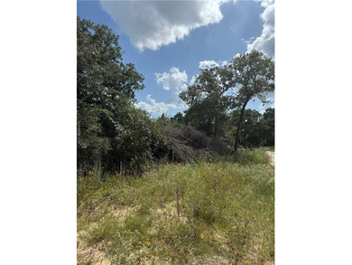 Cade Lakes Lot For Sale in Caldwell Texas