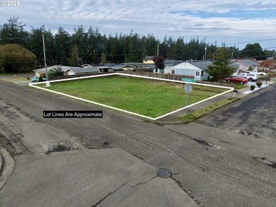 Joe Ney Slough Lot For Sale in Northbend Oregon
