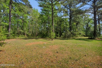 Lot may also be purchased separately -- see MLS# 100567902 - photo 18