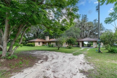 (private lake, pond, creek) Home For Sale in Ocklawaha Florida