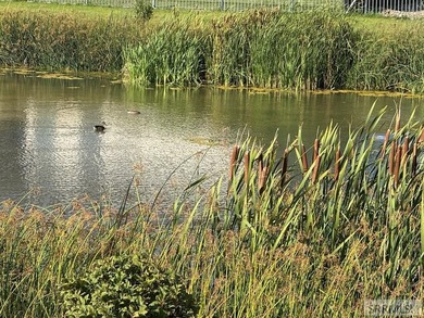 In the prestigious Mary Alice Lake at the Preserve subdivision