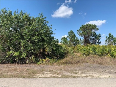Lake Placid Vacant Lot! Lake Placid is a growing community with - photo 2