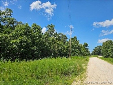 Discover more than 18 acres of beautiful wooded property at the - photo 4