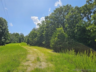 Discover more than 18 acres of beautiful wooded property at the - photo 5
