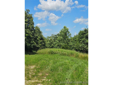 Discover more than 18 acres of beautiful wooded property at the - photo 7