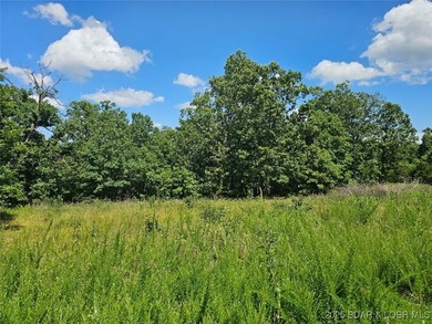 Discover more than 18 acres of beautiful wooded property at the - photo 8