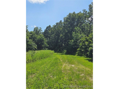 Discover more than 18 acres of beautiful wooded property at the - photo 9