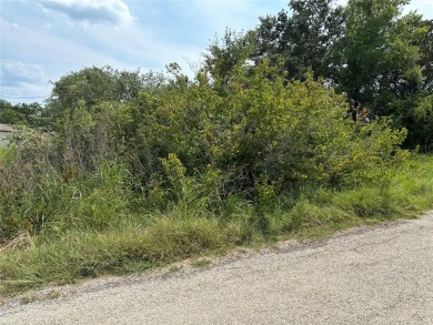 Lake Granbury Lot For Sale in Granbury Texas