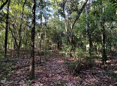 DREAM PROPERTY ALERT 14.4 Acres | 1000 Ft Creek Frontage | - photo 11