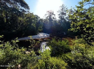 DREAM PROPERTY ALERT 14.4 Acres | 1000 Ft Creek Frontage | - photo 12