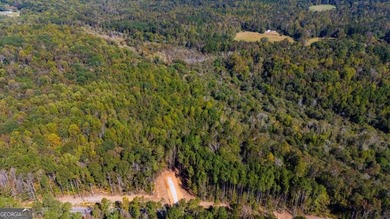 (private lake, pond, coastal) Acreage For Sale in Jefferson Georgia