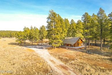 (private lake, pond, creek) Home For Sale in Happy Jack Arizona