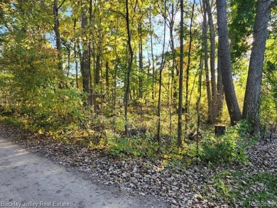 Lake Lot For Sale in Pinckney, Michigan