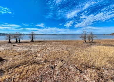 Exceptional 7-acre waterfront property on Lake Sam Rayburn - photo 14