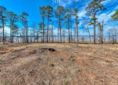Exceptional 7-acre waterfront property on Lake Sam Rayburn - photo 17