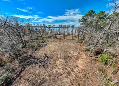 Exceptional 7-acre waterfront property on Lake Sam Rayburn - photo 19