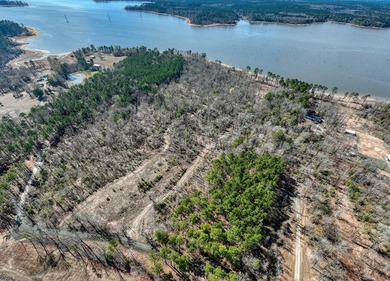 Exceptional 7-acre waterfront property on Lake Sam Rayburn - photo 20