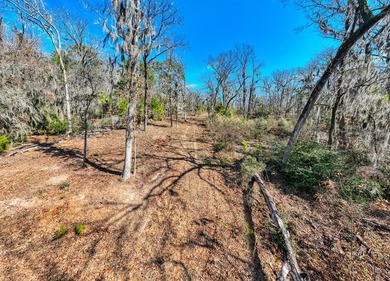 Exceptional 7-acre waterfront property on Lake Sam Rayburn - photo 21