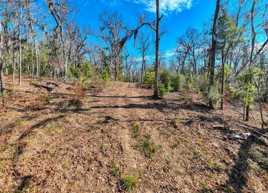 Exceptional 7-acre waterfront property on Lake Sam Rayburn - photo 22