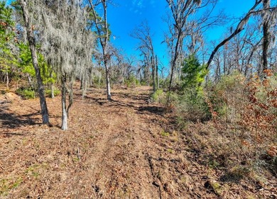 Exceptional 7-acre waterfront property on Lake Sam Rayburn - photo 23