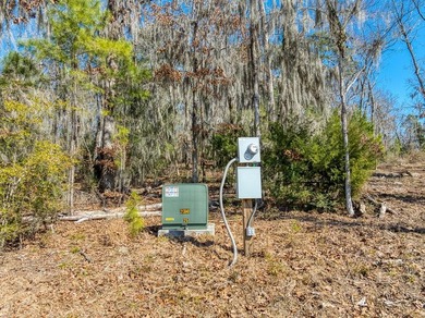 Exceptional 7-acre waterfront property on Lake Sam Rayburn - photo 24