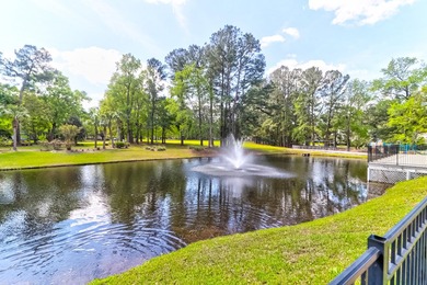 Welcome home to The Park at Rivers Edge, a beautiful - photo 29