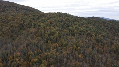 (private lake, pond, coastal) Lot For Sale in Amherst Virginia