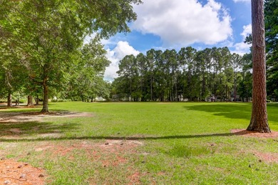 Welcome home to The Park at Rivers Edge, a beautiful - photo 33