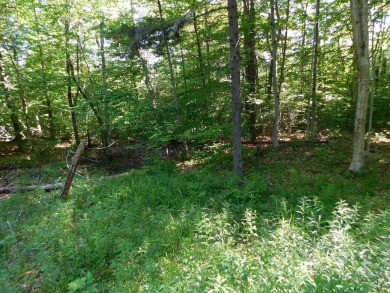 First Lake Acreage For Sale in Old Forge New York
