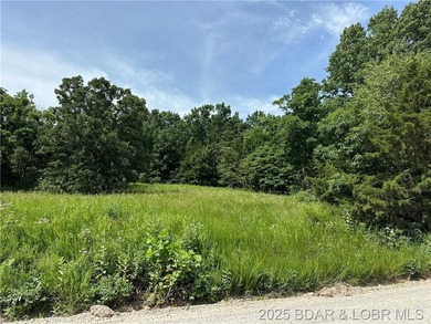 Lake of the Ozarks Lot For Sale in Edwards Missouri