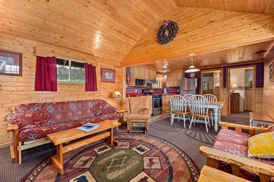 Fully equipped to operate as a lucrative resort, gorgeous 3BD - photo 42