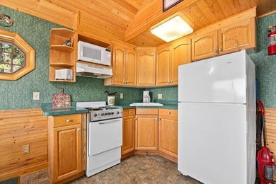 Fully equipped to operate as a lucrative resort, gorgeous 3BD - photo 47
