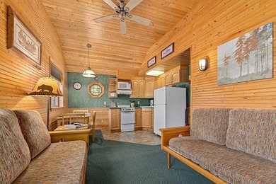 Fully equipped to operate as a lucrative resort, gorgeous 3BD - photo 50